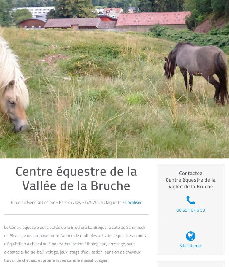 Le Gite Du Chateau Dans Le Centre De Schirmeck Zewnętrze zdjęcie