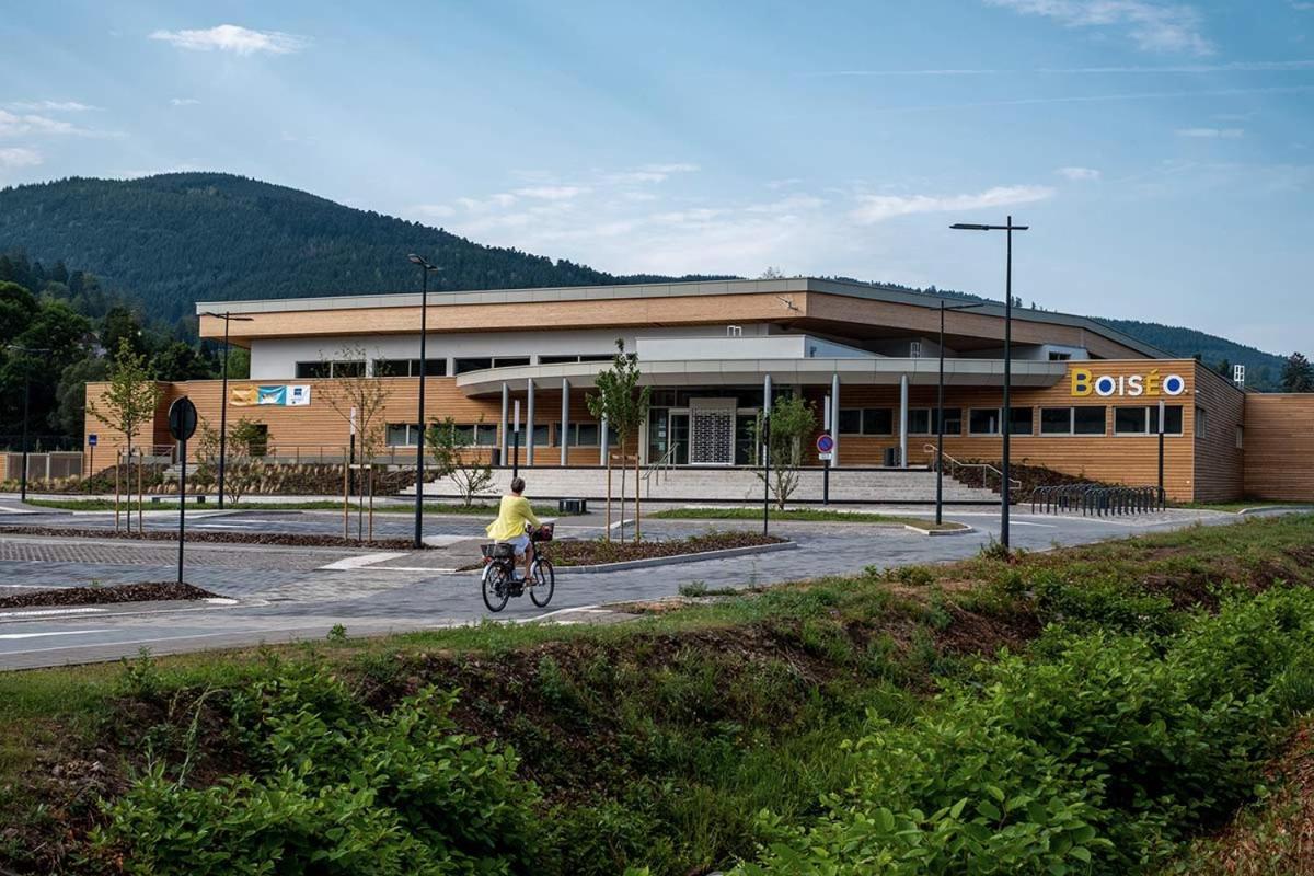 Le Gite Du Chateau Dans Le Centre De Schirmeck Zewnętrze zdjęcie